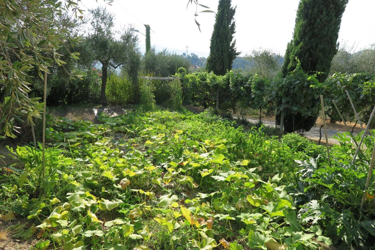 Banks 1 Villa Vezzano Ligure Exterior foto